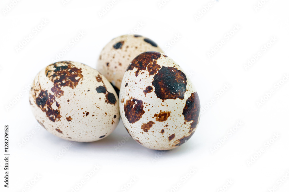 three quail eggs over white background three quail eggs over white background