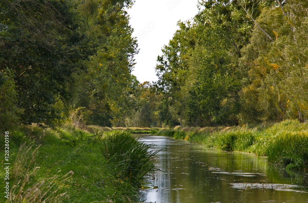 Fototapeta premium Herbstbeginn an der Nieplitz bei Stangenhagen