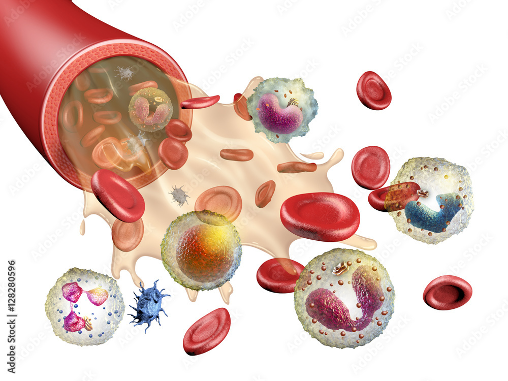 Φωτογραφία Blood constituents