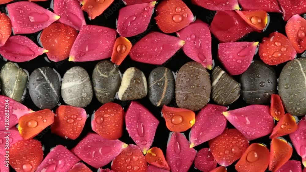 Floating rose petal and a line of stones in the water in the wind. Floating rose petal and a line of stones in the water in the wind.
