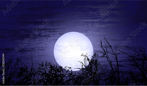 Dark night with moon