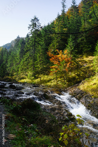 mountain rocky river in Tatra mountains, Poland - colorful autumn season in pine forest in Tatra National Park 