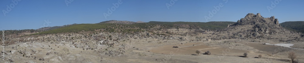 Panorama, forest, rocky, terrain