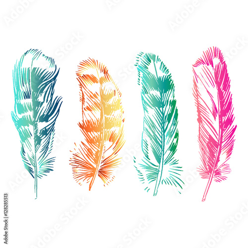 Hand-drawn vector feather, ink handpicked