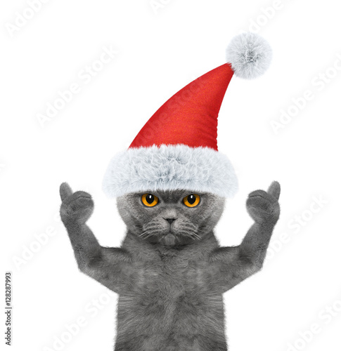 Fototapeta Naklejka Na Ścianę i Meble -  Santa cat showing thumb up and welcomes