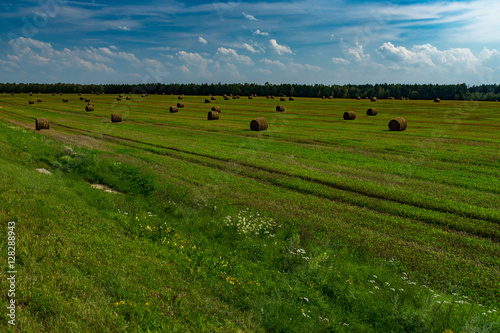 Stacks of hay on the field, Belarus, Summer