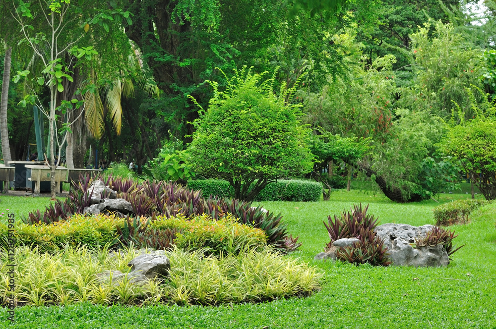 Various flower and plant for nice gardening Various flower and plant for nice gardening