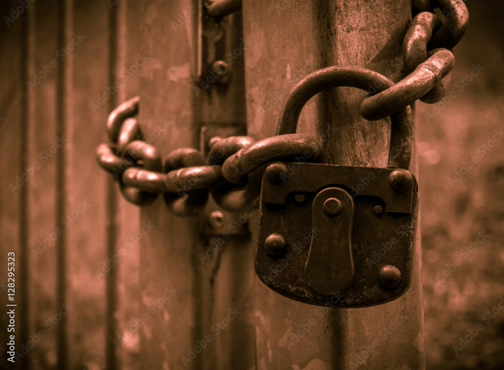 The old and rusty lock on a metal gate. The old and rusty lock on a metal gate.