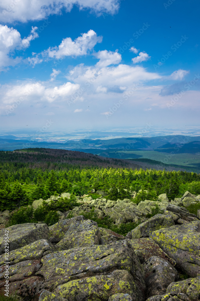 Mountains and forest of  Harz in the sunlight , Germany