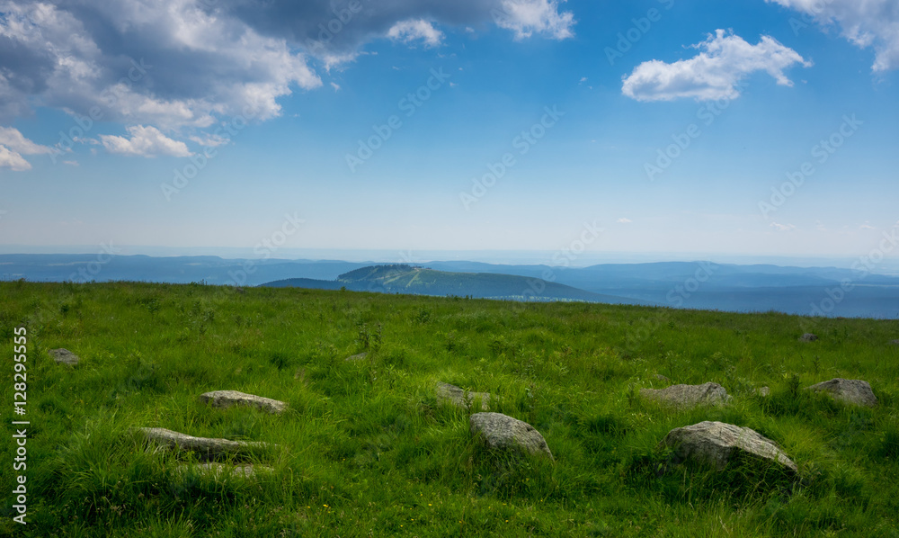 Mountains and forest of  Harz in the sunlight , Germany