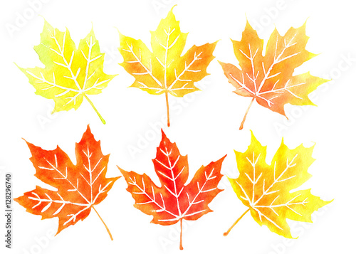 Six orange canadian maple leaves