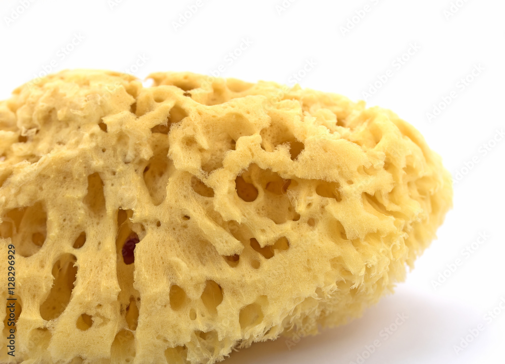 Naturschwamm, Badeschwamm, Körperpflege Naturschwamm, Badeschwamm, Körperpflege