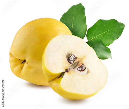 quinces isolated on the white background photo
