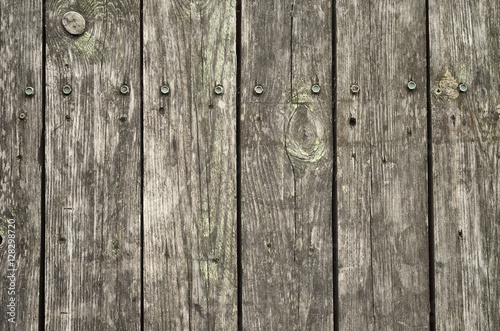 Wooden fence backgroumd