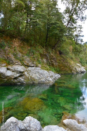 Crystal clear waters of Pelorus River in Marlborough Sounds  New Zealand.