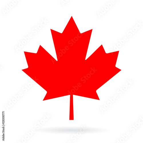 Maple leaf vector icon