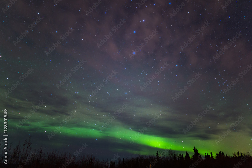 Northern Lights Northern Lights