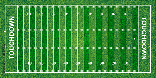 American football field, texture, vector illustration