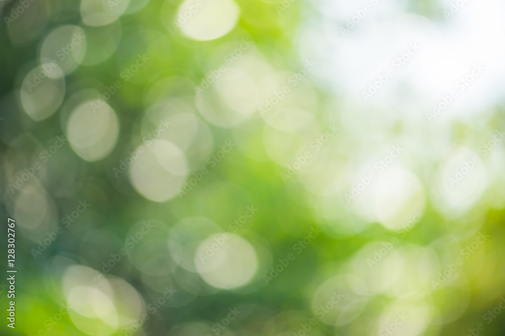 Green nature blur abstract defocus Green nature blur abstract defocus