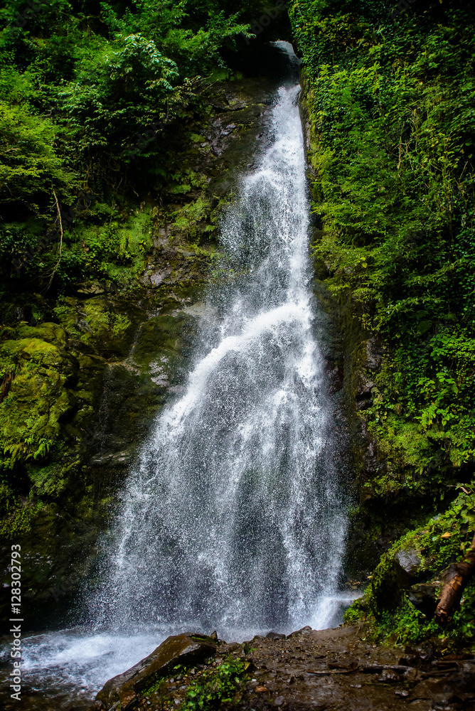 Obraz premium beautiful waterfall among the amazing forest