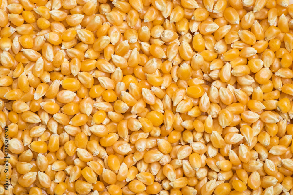 Raw popcorn background and textured