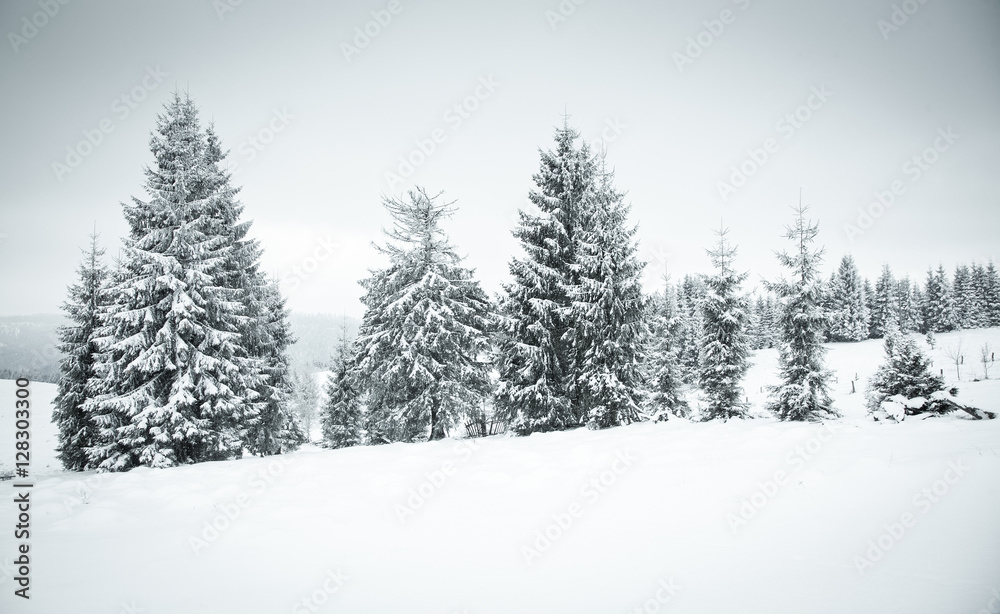 christmas background of snowy winter landscape christmas background of snowy winter landscape