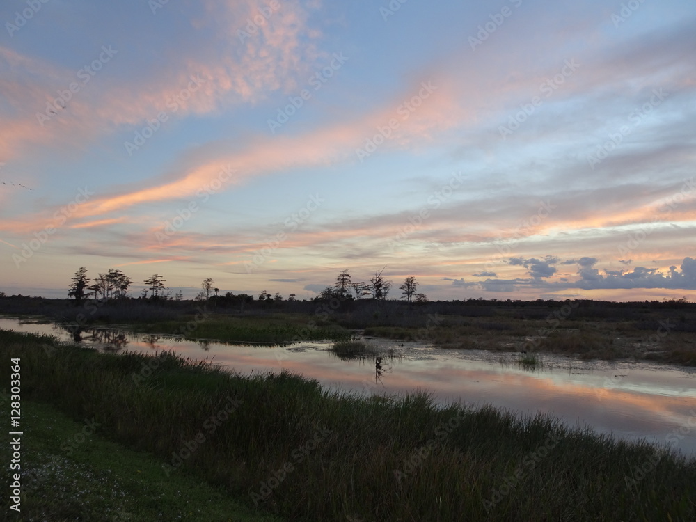 amazing multi-colored sunset in the swamp amazing multi-colored sunset in the swamp
