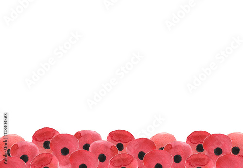 Watercolor poppy flower, Remembrance Day white background