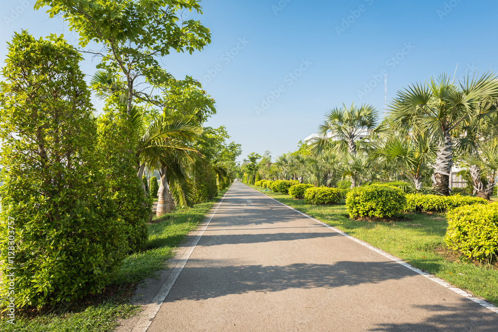 Jogging track at the green garden
