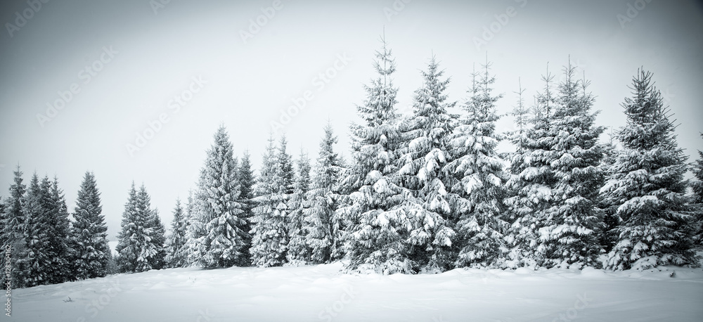 christmas background of snowy winter landscape christmas background of snowy winter landscape