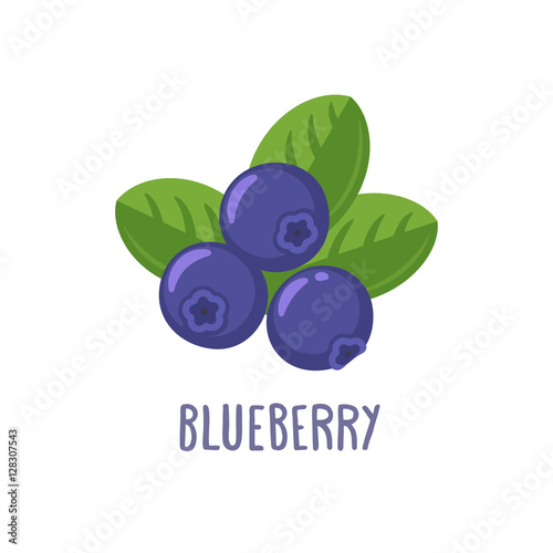 Fototapete Vector blueberry icon