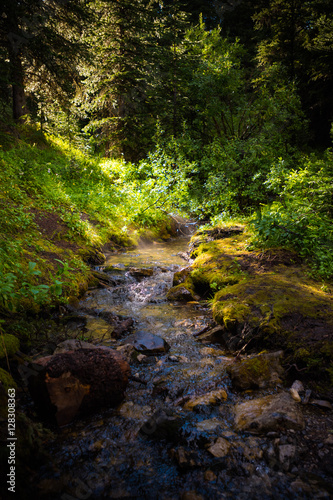 Mountain Stream