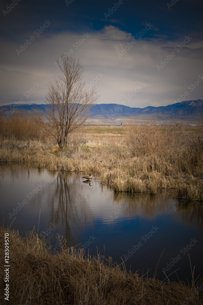 Carson Valley Carson Valley