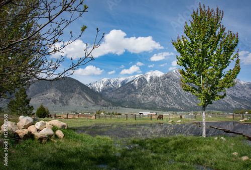 Carson Valley photo