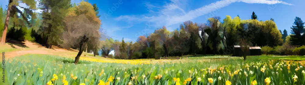 Obraz premium Daffodils