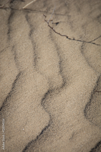 sandscape