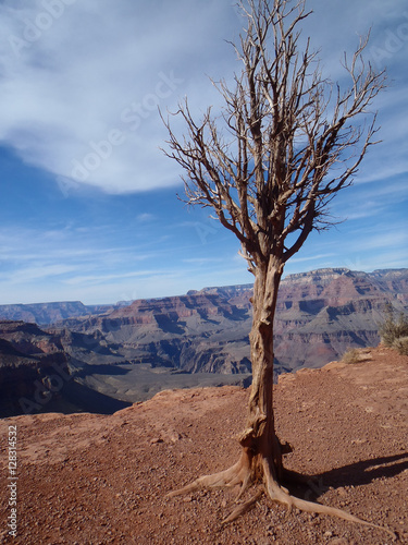 Grand Canyon © Travis