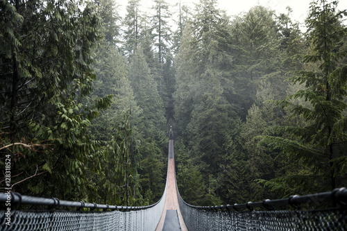 Capilano suspension bridge Vancouver, British Columbia Canada. Suspension bridge on a foggy and misty day. Bridge in the forest surrounded by nature.  photo