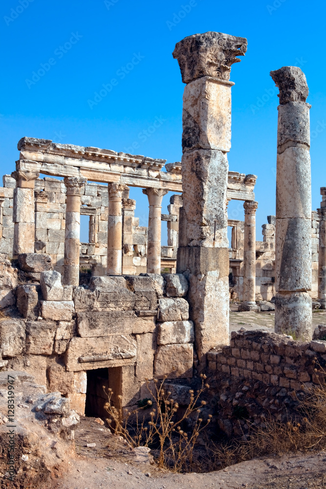 Fototapeta premium Apamea ruins Syria