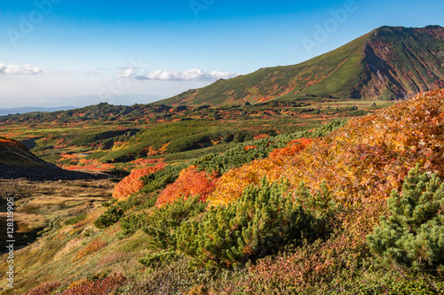 Autumn colors in the rolling foothills of Daisetsuzan National Park, Hokkaido, Japan