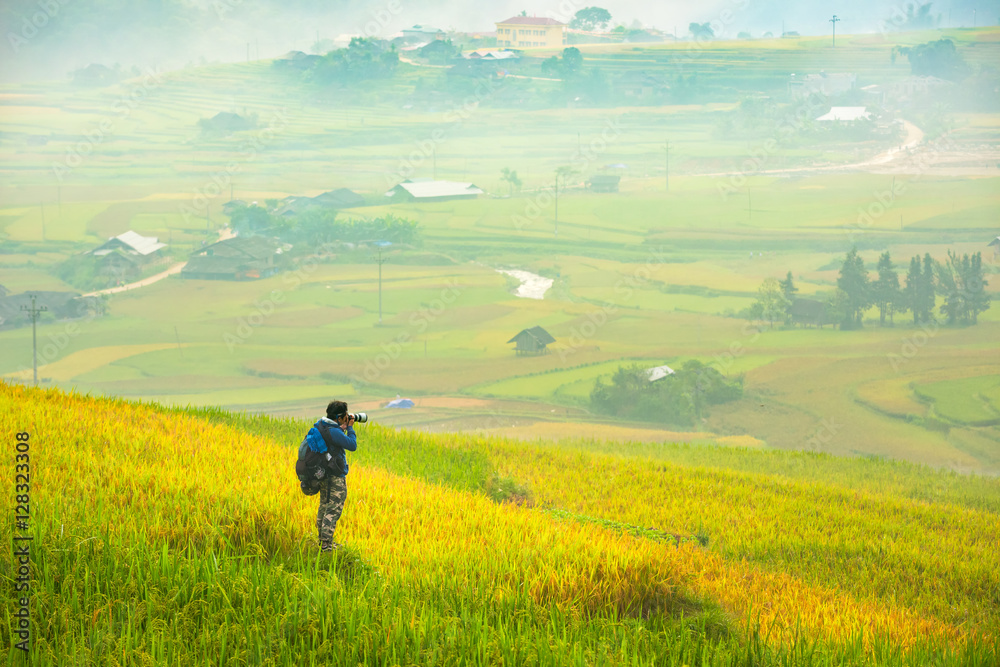 Photography take a photo at rice fields on terraced of Vietnam. Rice fields prepare the harvest at Northwest Vietnam.Vietnam landscapes.