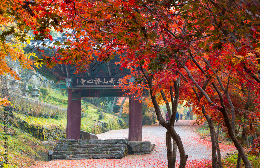 증심사 가는 길의 가을