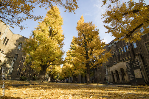 Campus