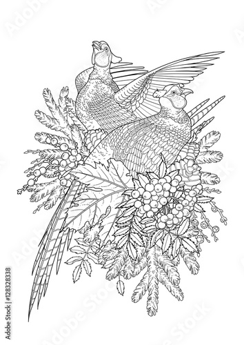 Graphic art with pheasants