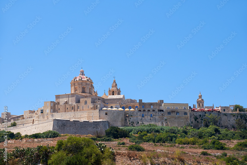 View of Mdina's St. Paul's Cathedral from the countryside