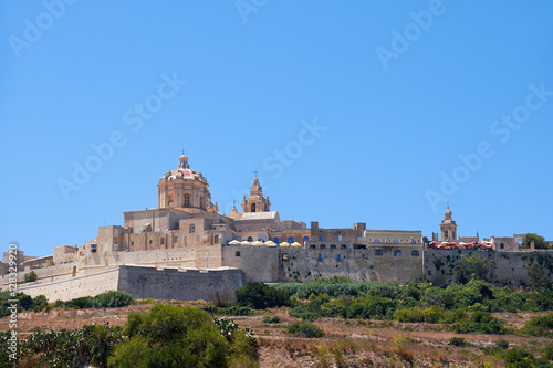 View of Mdina's St. Paul's Cathedral from the countryside © Serg Zastavkin