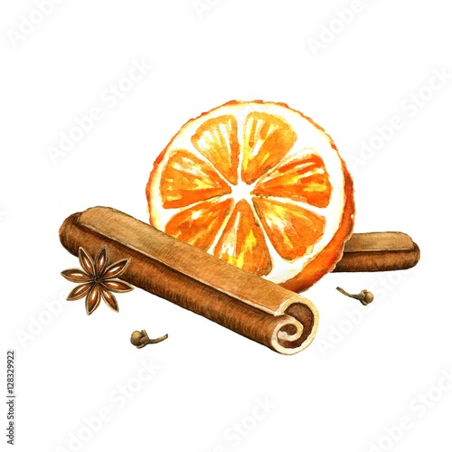Slice of orange, cinnamon and star anise. Watercolor illustratio