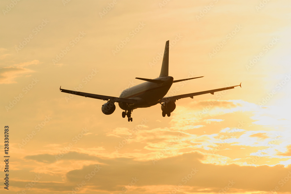 Fototapeta premium The plane departs to a decline