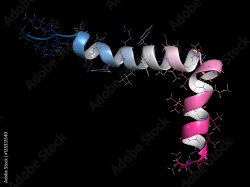 Beta-amyloid (Abeta) peptide, 3D rendering. Major component of plaques found in Alzheimer's disease. photo