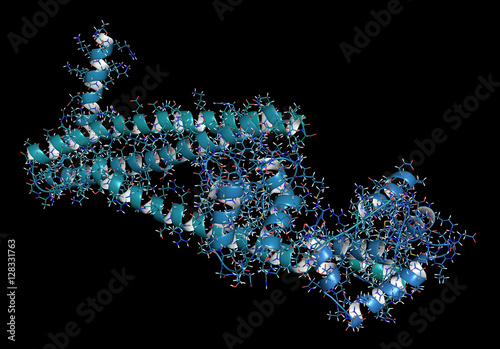 Troponin: structure of the human cardiac troponin core domain, 3D rendering. Composed of three subunits (C, T and I). photo